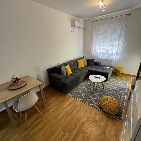 Apartament Novi Sad Apartman Zewnętrze zdjęcie